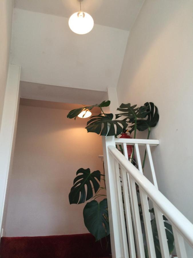 Fern Cottage 도체스터도싯 외부 사진